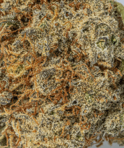 Orange Julius (AA+) - Image 5