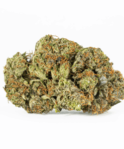 Georgia Pine (AAA+) - Image 5