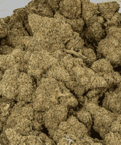 Grape God (AAA) - Image 4