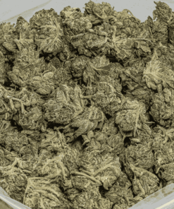 (Smalls) Greasy Pink Bubba (AAAA) - Image 4