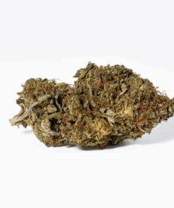Island Sweet Skunk (AA) - Image 3