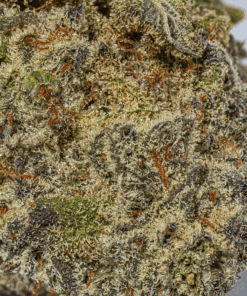Unicorn Poop (AAAA+) - Image 5