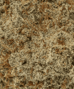 Lavender Haze (AA+) - Image 5