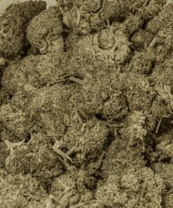 Lavender Haze (AA+) - Image 4