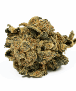 Lemon Skunk (AA) - Image 3