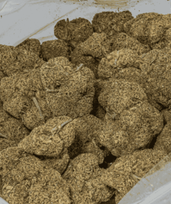 Monster Berry  (AA+) - Image 4