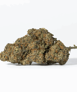Nuken (AA+) - Image 3
