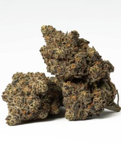 Purple Wookie (AAA+) - Image 1