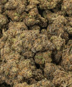 Purple Wookie (AAA+) - Image 4