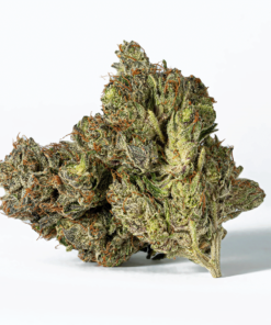 Ghost Ship (AAA+) - Image 3