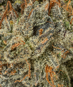 Ghost Ship (AAA+) - Image 5