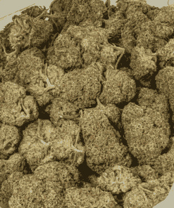 Raspberry Parfait (AA+) - Image 4
