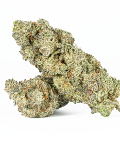 Slurricane (AA+) - Image 1