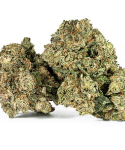 Purple Kush (AAA) - Image 1