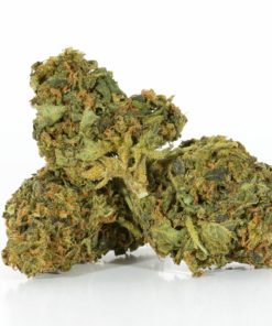 Durban Poison (AA) - Image 2