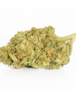 Bruce Banner (AA+) - Image 3