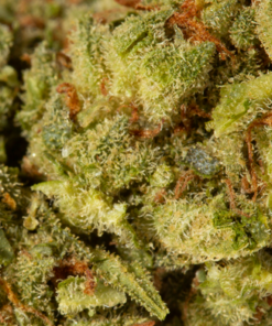 Bruce Banner (AA+) - Image 4