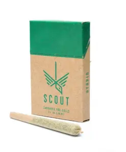 Scout - 5 Pack Pre-Rolls (0.5g) - Hybrid - Image 1