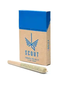 Scout - 5 Pack Pre-Rolls (0.5g) - Indica - Image 1
