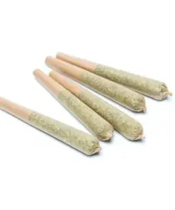 Scout - 5 Pack Pre-Rolls (0.5g) - Sativa - Image 2
