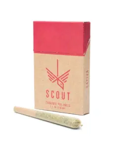 Scout - 5 Pack Pre-Rolls (0.5g) - Sativa - Image 1