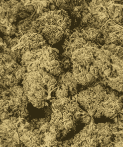 Valley Gas (AAAA) - Image 5