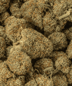 Blackberry Jam (AA+) - Image 4