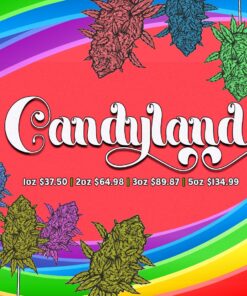 Candyland (Promo) - Image 1