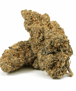Cherry Pie (AA+)