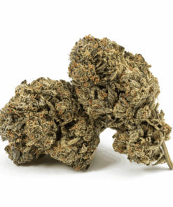 Dank Schrader (AAAA)