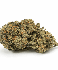 Dank Schrader (AAAA) - Image 3