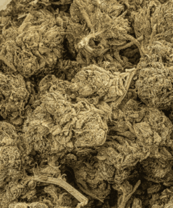 Dank Schrader (AAAA) - Image 4