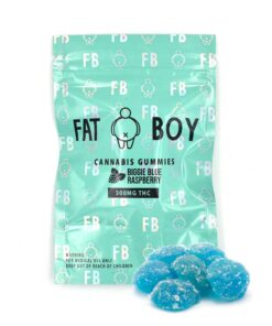 Fat Boy Edibles - Biggie Blue Raspberry - Image 3