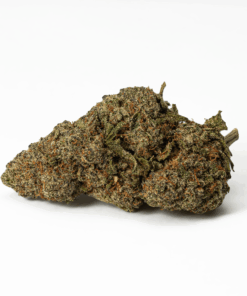 Flintstones (AA+) - Image 3