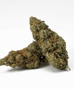 Frosty (AA+) - Image 1