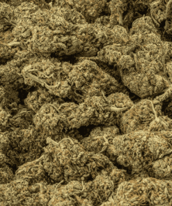 Frosty (AA+) - Image 4