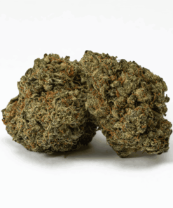 Ice Cream (AA+)