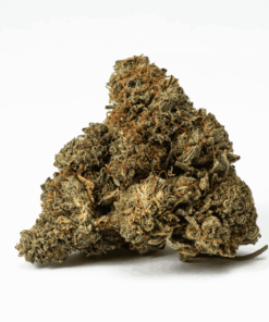 Jack Herer (AA)