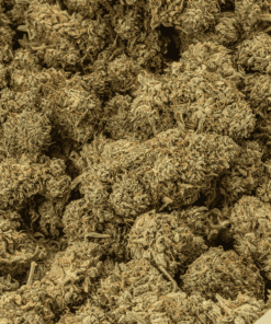 Jack Herer (AA) - Image 4