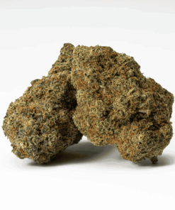 Papaya (AAA)