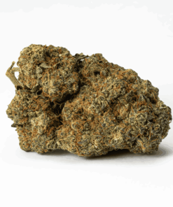 Papaya (AAA) - Image 3