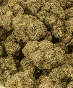 Papaya (AAA) - Image 4