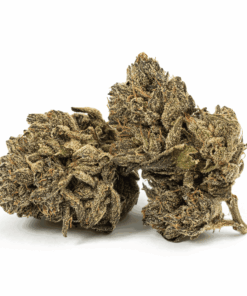 Purple Picasso (AAAA) - Image 1