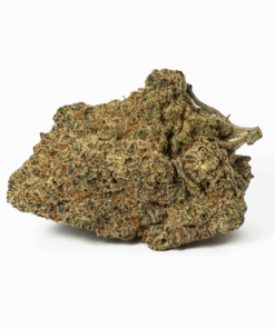 Slapz (AAA+) - Image 3