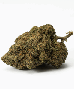 Watermelon Punch (AAA) - Image 3