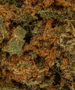 Royal Kush (A) - Image 5