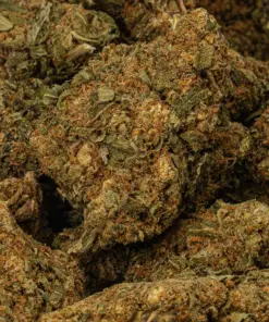 Royal Kush (A) - Image 3