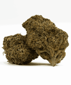 Agent Orange (AA)