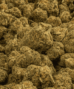 Agent Orange (AA) - Image 4