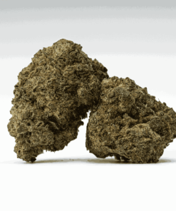 Banana Cream (AA+)
